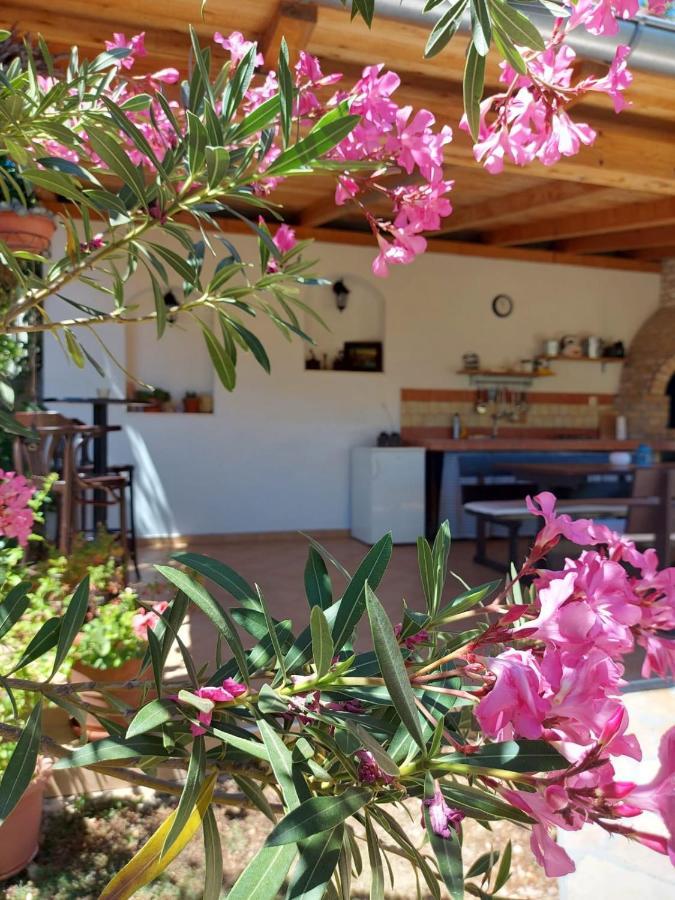 Apartments Skocic Vodice Eksteriør billede